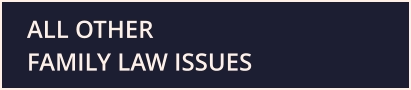ALL OTHER FAMILY LAW ISSUES