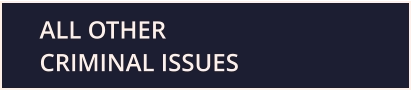 Click to jump to the section for other criminal issues