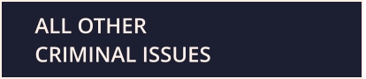Click to jump to the section for other criminal issues