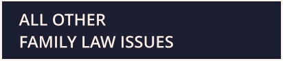 ALL OTHER FAMILY LAW ISSUES